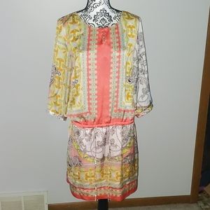 Long sleeve Print  Mini Dress